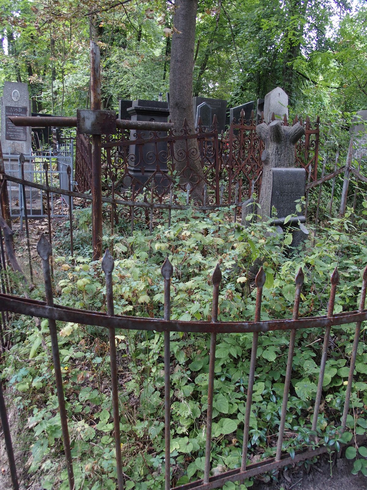 Ogrodzenie nagrobka Władysława Rodziewicza i N.N., cmentarz Bajkowa w Kijowie, stan z 2021