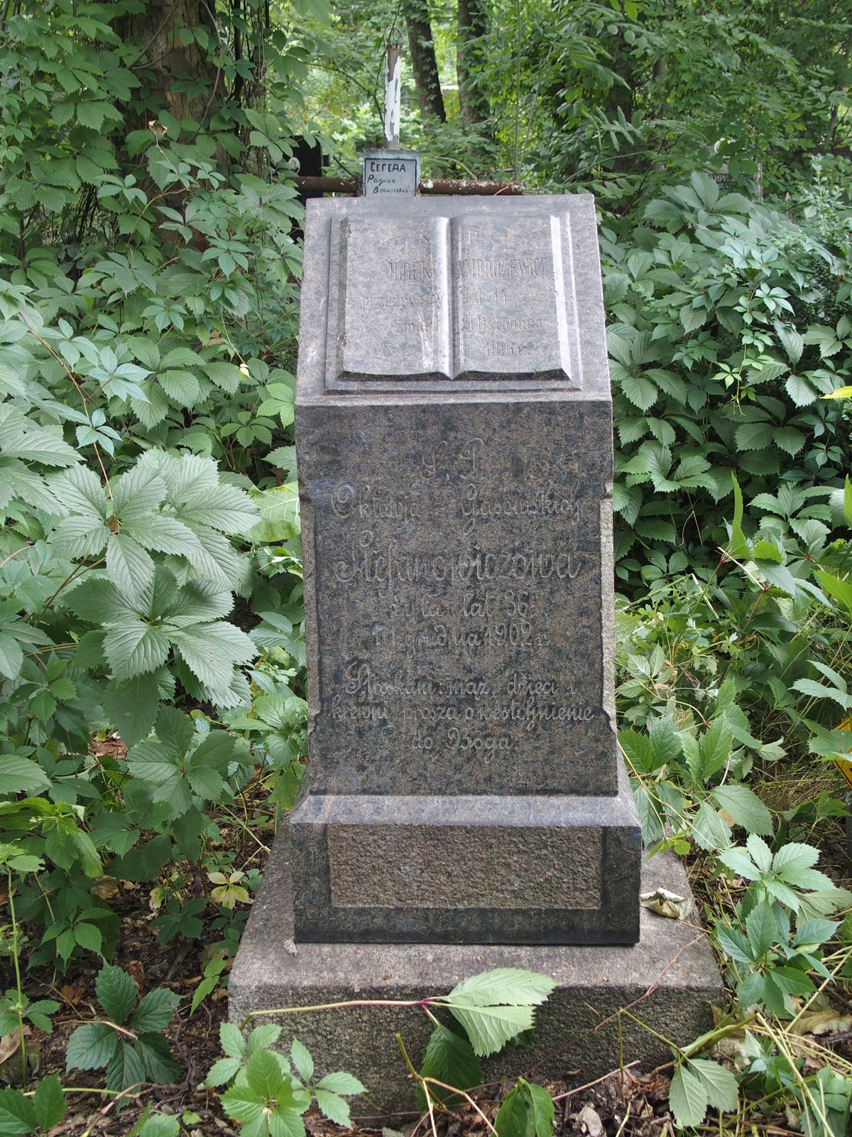 Tombstone of Jurek Ambrosevich, Octavia Stefanovichova, Bajkova cemetery, Kyiv, as of 2021