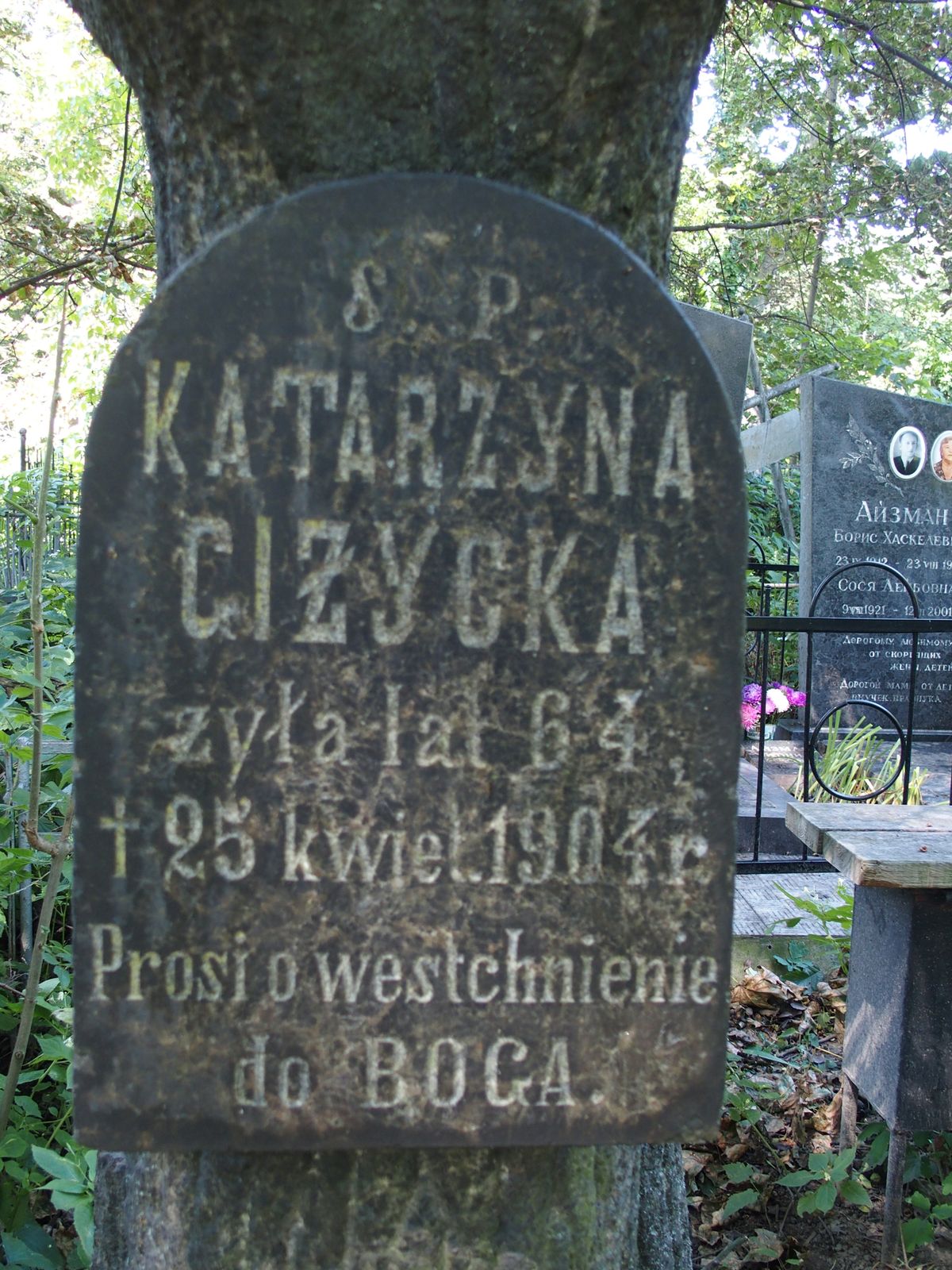 Inscription from the tombstone of Catherine Gizycka
