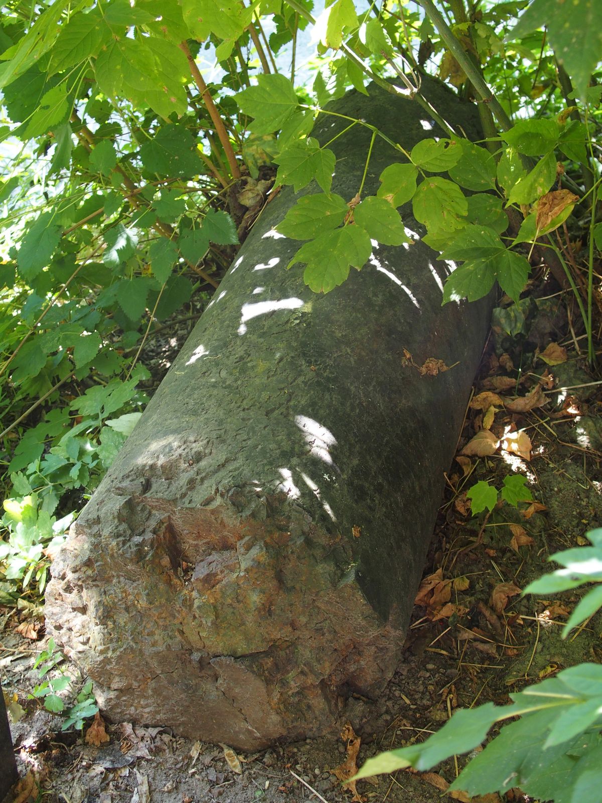 Fragment of the gravestone of Iwon Wolanski