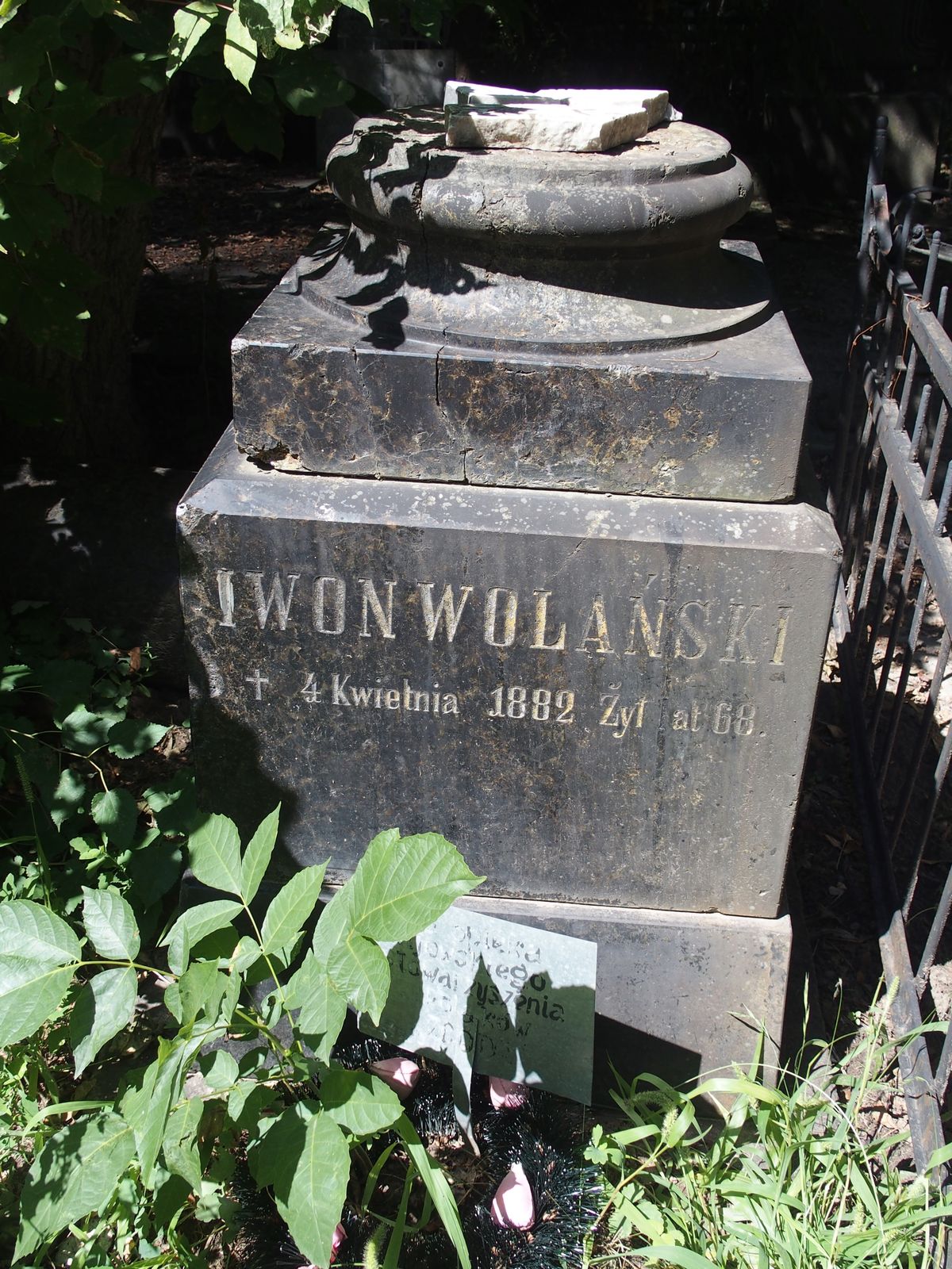 Tombstone of Iwon Wolanski