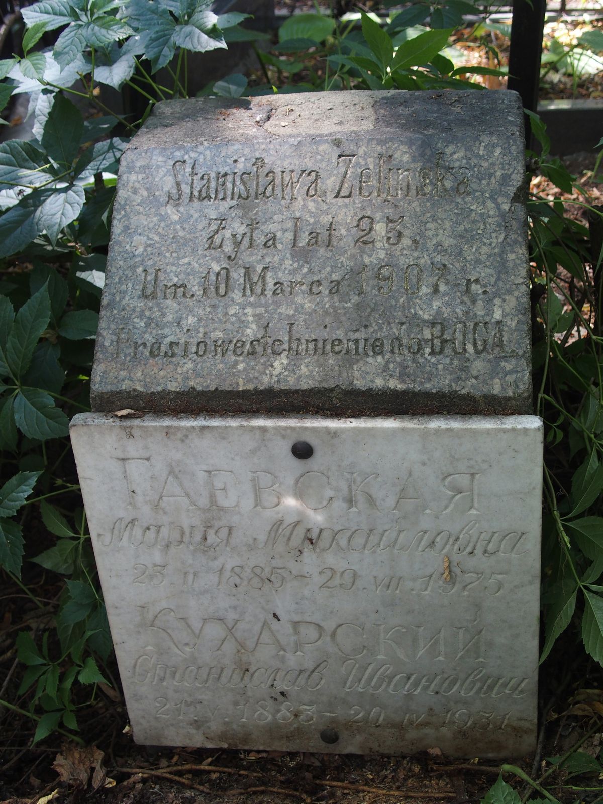 Tombstone of Stanislava Zielinska, Maria Gaevska