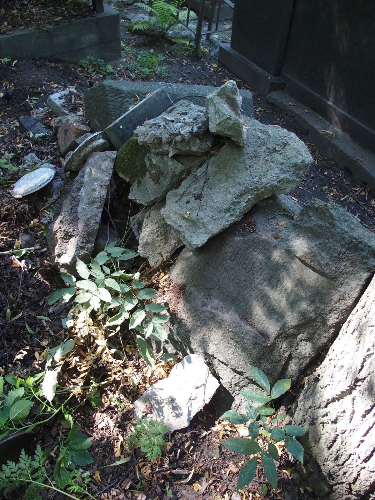 Dyakowski tombstone