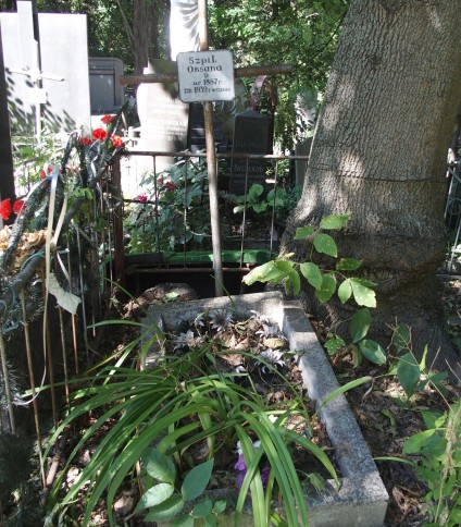 Nagrobek Oksany Szpil