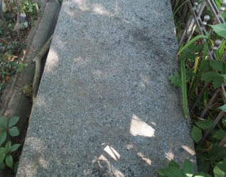 Nagrobek Emilii  Leszczyńskiej, Walentego Leszczyńskiego