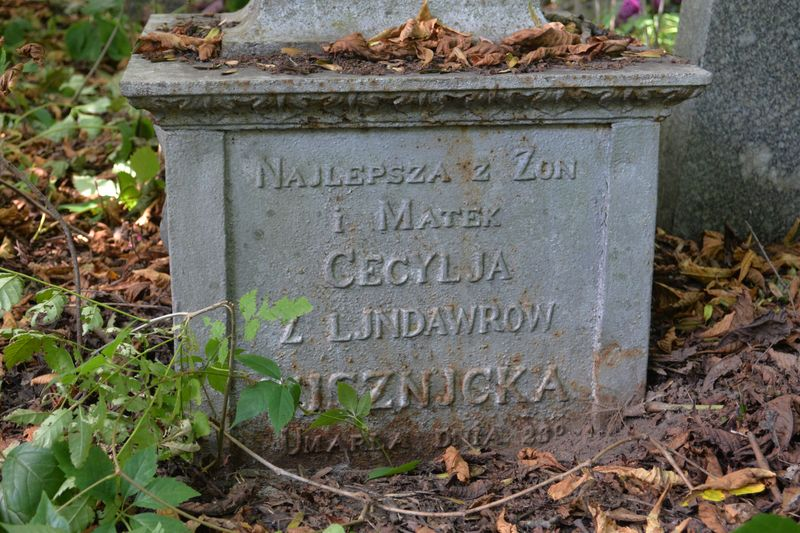 Inscription from the tombstone of Cecilia Višnicka