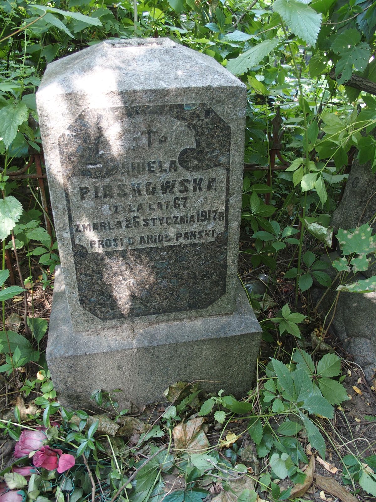 Tombstone of Aniela Piaskowska