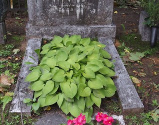 Nagrobek Heleny Brink, cmentarz św. Michała w Rydze, stan z 2021 r.