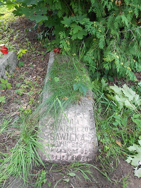 Nagrobek Teofili ze Stankiewiczów Sawickiej z cmentarza na Rossie, stan z 1913 roku