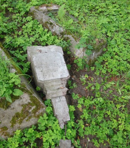 Nagrobek Marii Petrusewicz, cmentarz Na Rossie w Wilnie, stan z 2013