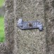 Альтернативний текст фотографії