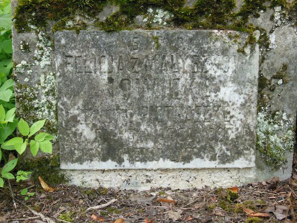 A fragment of Felicia Nowicka's tombstone, Na Rossie cemetery in Vilnius, state of 2013