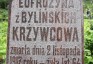 Fotografia przedstawiająca Tombstone of Eufrosinia Krzywiec