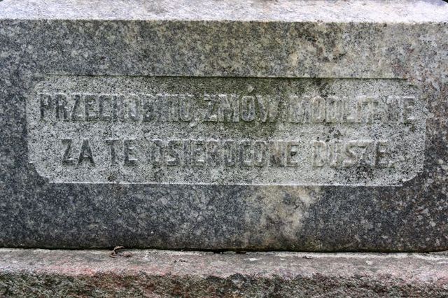 Fragment of the gravestone of Anna and Tekla Tamkiewicz, Ross Cemetery in Vilnius, as of 2013.