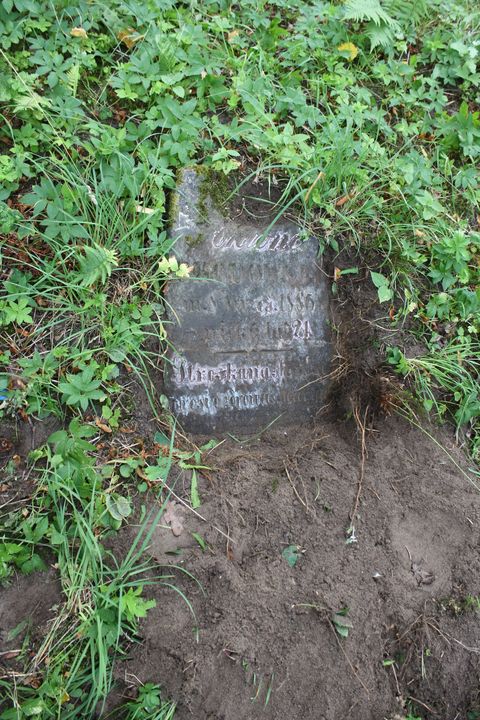 Nagrobek Antoniego Brodowskiego, cmentarz na Rossie w Wilnie, stan na 2013 r.
