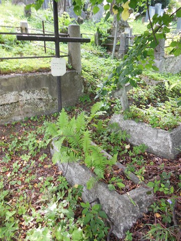 Janina Czynilska's tombstone, Ross cemetery in Vilnius, as of 2013.