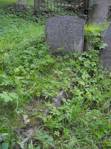 Nagrobek Jana i Władysława Syrwidów, cmentarz Na Rossie w Wilnie, stan z 2013 r.