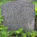 Fotografia przedstawiająca Tombstone of Jan and Władysław Syrwid