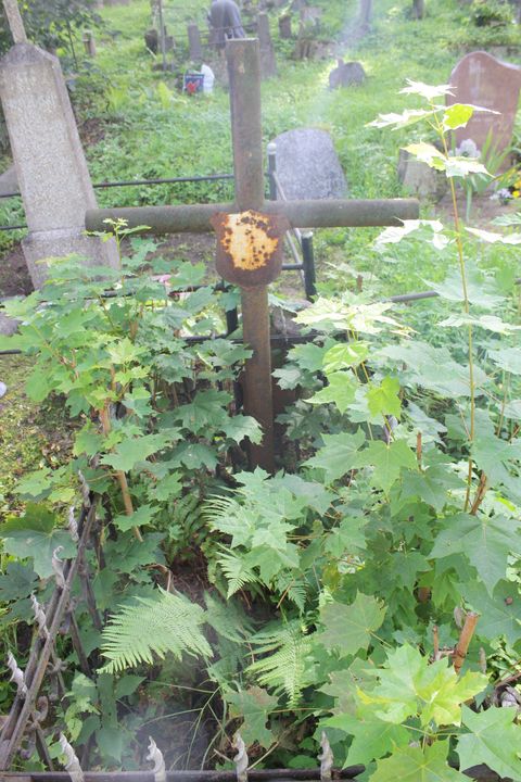 Tombstone of Wladyslaw Brejwo, Ross cemetery in Vilnius, as of 2013.