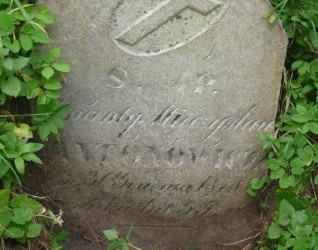 Nagrobek Wincentego Mieczysława Antonowicza, cmentarz Na Rossie w Wilnie, stan z 2013 r.