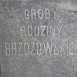 Photo showing Tombstone of the Brzozowski family