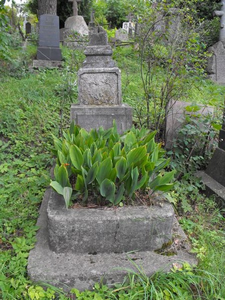 Tombstone of N.N., Na Rossie cemetery in Vilnius, as of 2013.