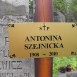 Photo montrant Tombstone of Kazimierz and Antonina Szejniecki and Krasylda Tomaszewicz