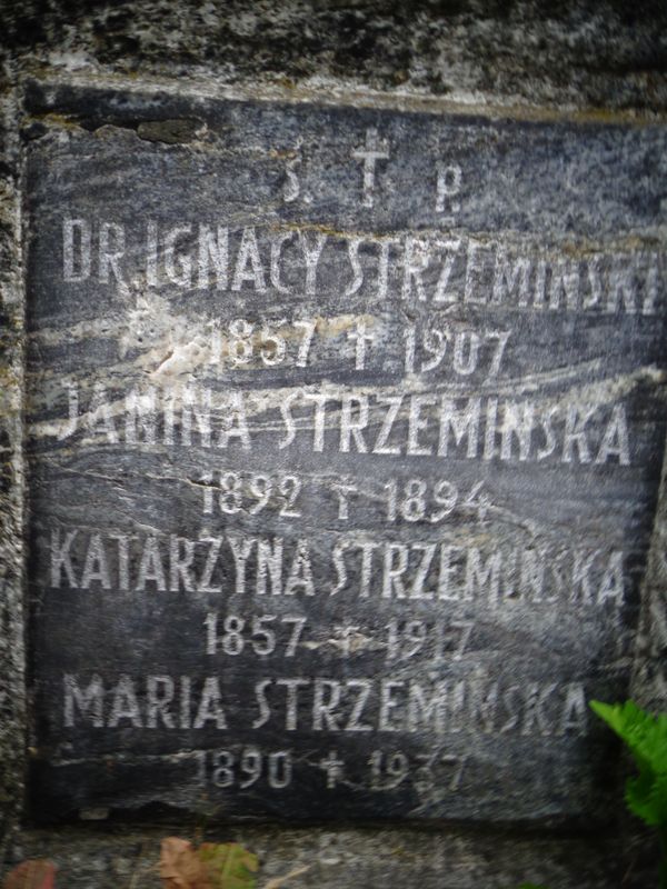 Tablica inskrypcyjna z grobowca rodziny Strzemińskich, cmentarz Na Rossie w Wilnie, stan z 2013 roku