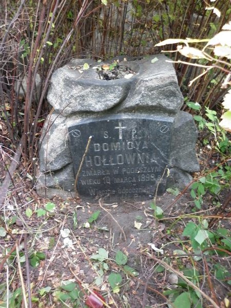 Tombstone of Domicya Hollowna, Na Rossa cemetery in Vilnius, as of 2013