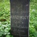 Photo showing Tombstone of the Narżymski couple