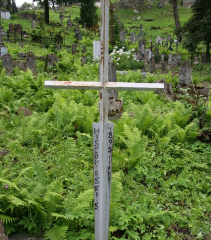 Nagrobek [N. N.] Wiszomirskiego, cmentarz na Rossie w Wilnie, stan na 2013 r.