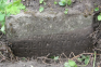 Fotografia przedstawiająca Tombstone of Katarzyna Kosilowicz