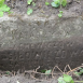 Photo montrant Tombstone of Katarzyna Kosilowicz