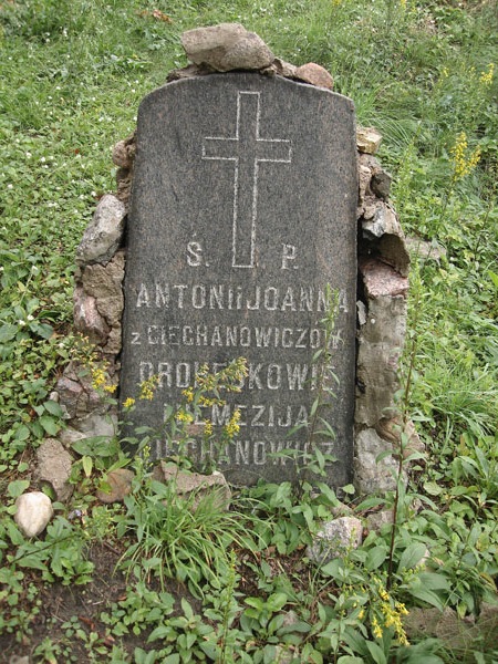 Tombstone of Nemesia Ciechanowicz and Antoni and Joanna Drohejko, Rossa cemetery in Vilnius, state of 2013