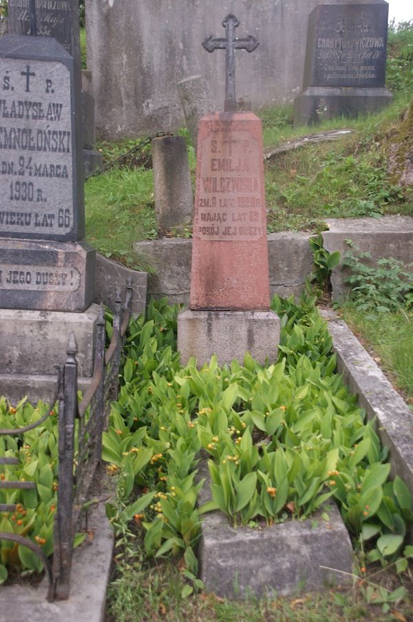 Tombstone of Emilia Wilczyńska, Ross cemetery, state of 2013