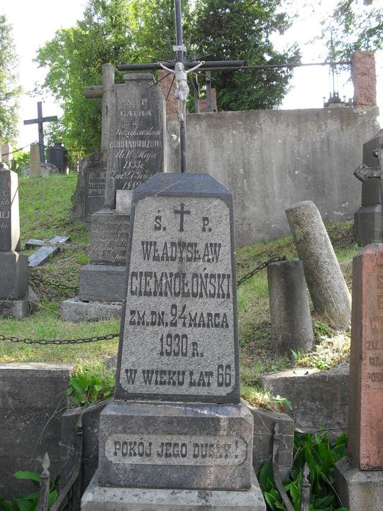 Fragment of the tombstone of Wladyslaw Ciemnołoński, Ross cemetery, as of 2014