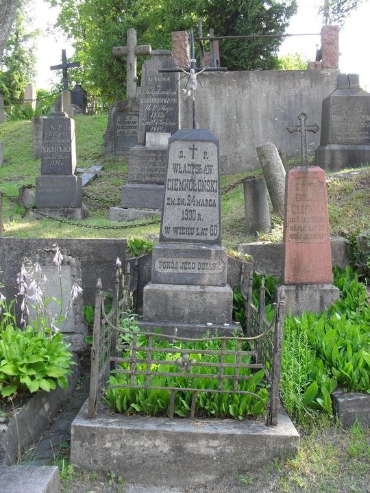 Tombstone of Władysław Ciemnołoński, Ross cemetery, state of 2014