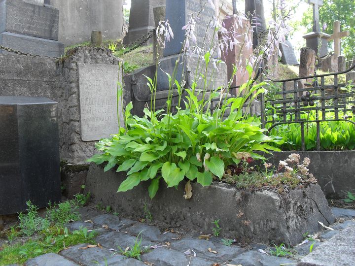 Nagrobek Stefanii Fiedorowicz, cmentarz na Rossie, stan z 2014 roku