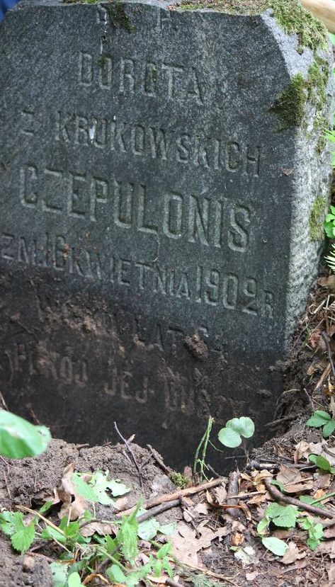 Nagrobek Doroty Czepulonis, cmentarz na Rossie w Wilnie, stan na 2013 r.