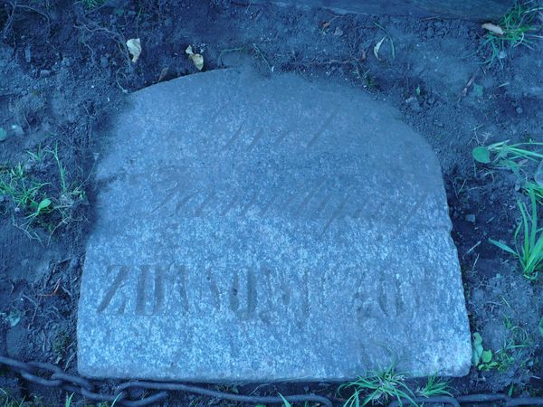 Tombstone of the Zdanowicz family, Ross cemetery, as of 2013