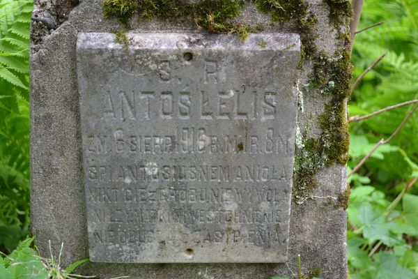 Tombstone of Antoni Lelis, Ross cemetery in Vilnius, as of 2013.