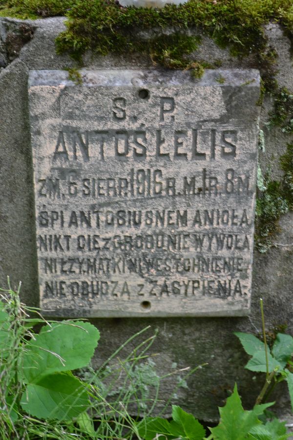 Tombstone of Antoni Lelis, Ross cemetery in Vilnius, as of 2013.