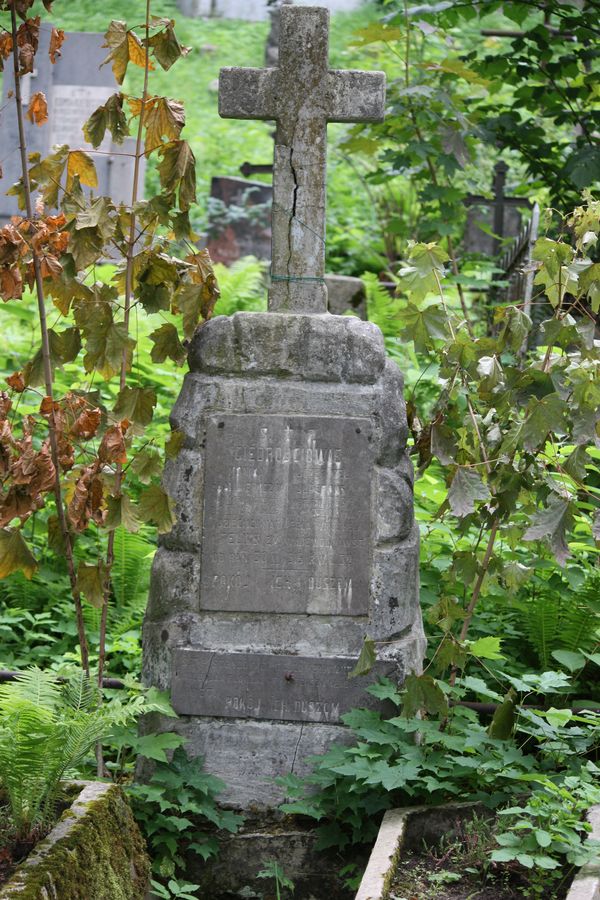 Nagrobek rodziny Giedrojć, cmentarz na Rossie w Wilnie, stan na 2013 r.