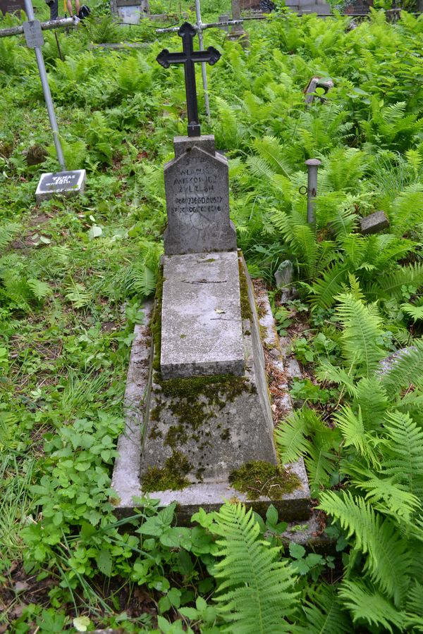 Tombstone of Wladyslaw Aniskowicz, Ross cemetery in Vilnius, as of 2013.