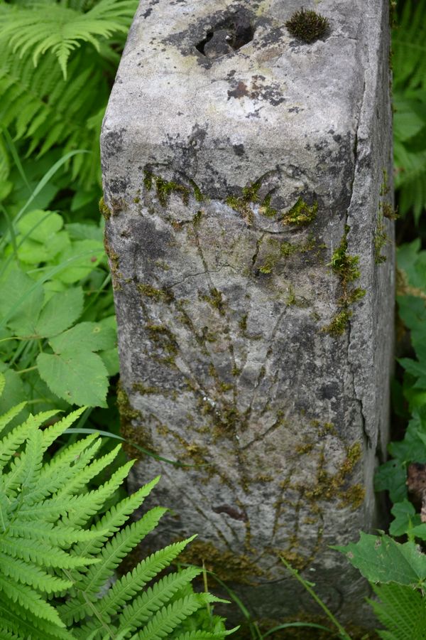 Fragment nagrobka Władysława Tyszko, cmentarz na Rossie w Wilnie, stan na 2013 r.
