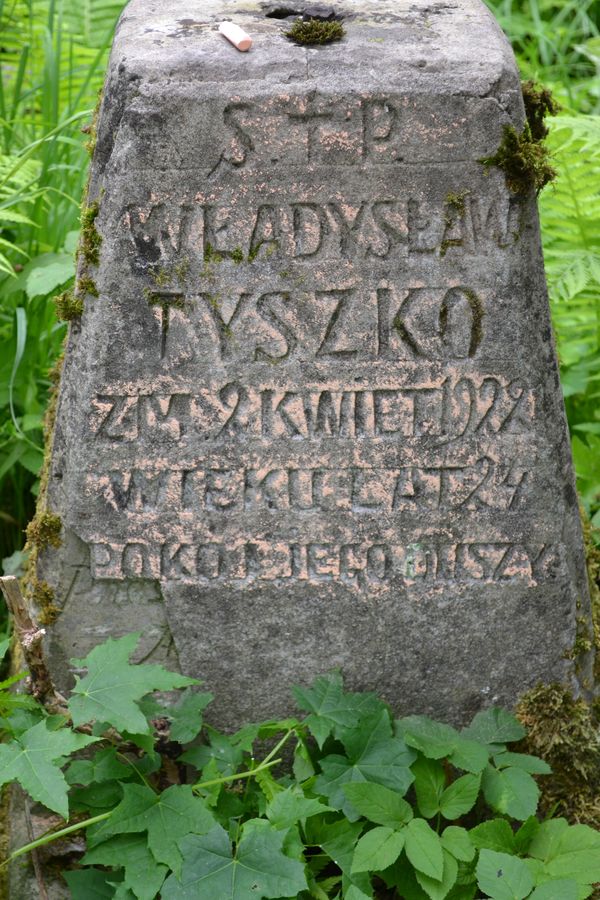 Nagrobek Władysława Tyszko, cmentarz na Rossie w Wilnie, stan na 2013 r.