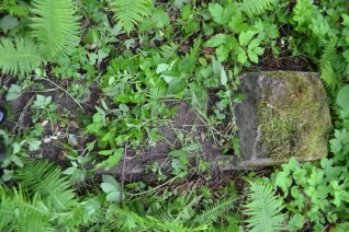 Nagrobek N. N., cmentarz na Rossie w Wilnie, stan na 2013 r.