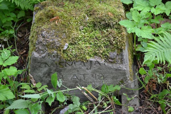 Tombstone of N. N., Rossa cemetery in Vilnius, as of 2013.