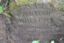 Photo showing Tombstone of Antoni Malecki