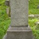 Photo showing Tombstone of the Lachowicz family